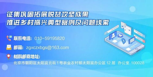科技小院的大情懷 信息技術(shù)咨詢(xún)服務(wù)賦能鄉(xiāng)村振興