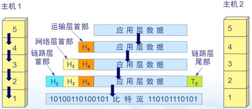 計(jì)算機(jī)網(wǎng)絡(luò)概述與系統(tǒng)工程服務(wù) 構(gòu)建數(shù)字時代的連接基石
